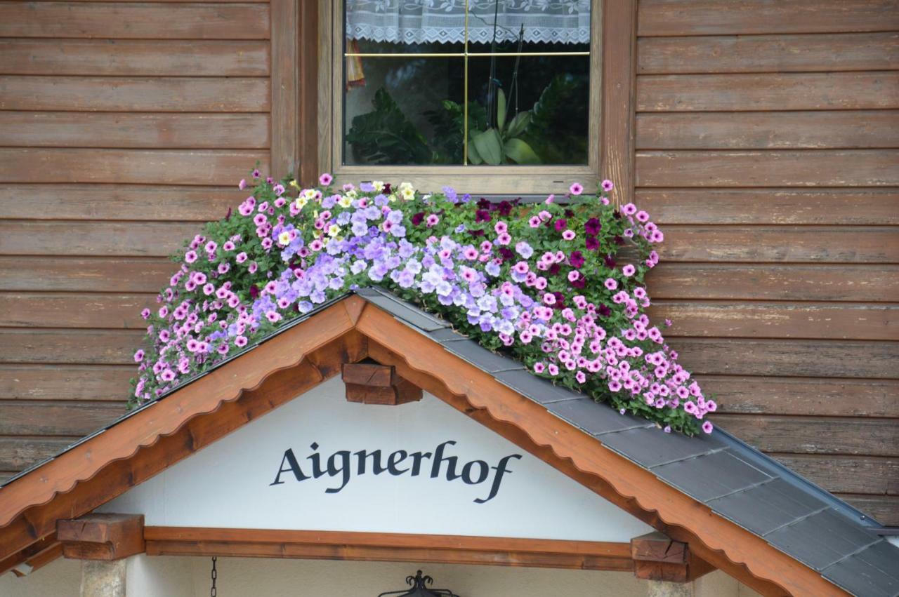 Aignerhof Villa Haus im Ennstal Buitenkant foto